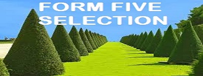 Form five selection 2019